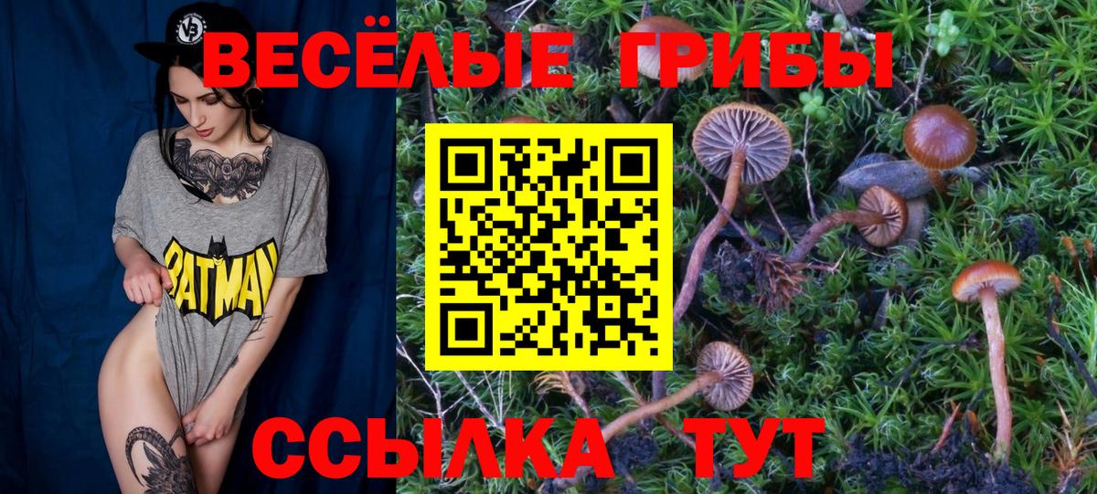 Красноуфимск  Псилоцибиновые грибы Magic Shrooms  где продают   Псилоцибиновые грибы Psilocybine cubensis  Вход с VPN 